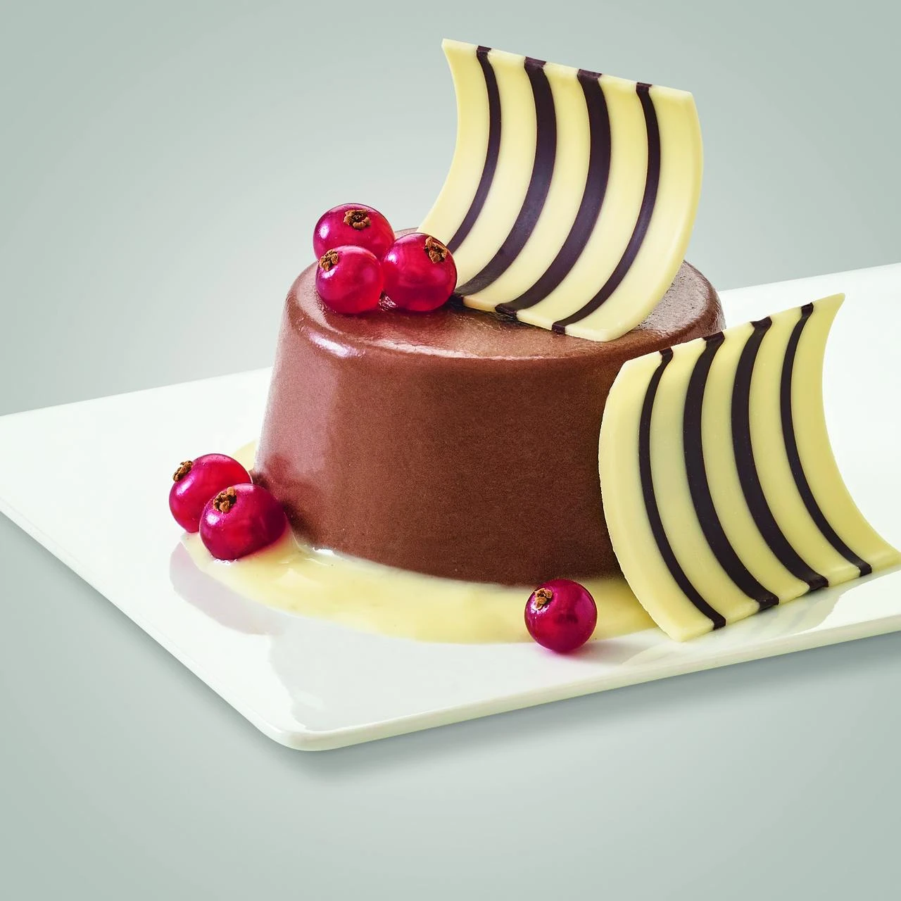 Dr. Oetker Dr.Oetker Schoko-Dekor Zebra Ola (700 G) – Bild 2